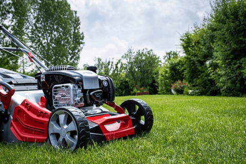 Briggs & Stratton